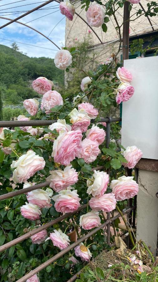 La Casa Di Giobatta Bed & Breakfast Tovo San Giacomo Eksteriør bilde